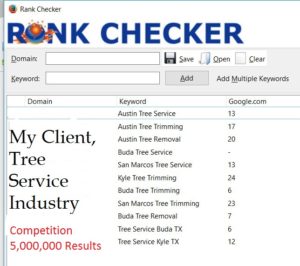 Austin Search Engine Optimization Results
